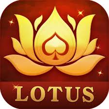 teen patti rummy wala download
